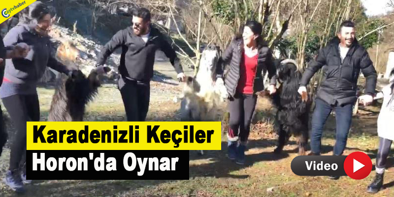 Karadenizli Keçiler Horon'da Oynar - Video