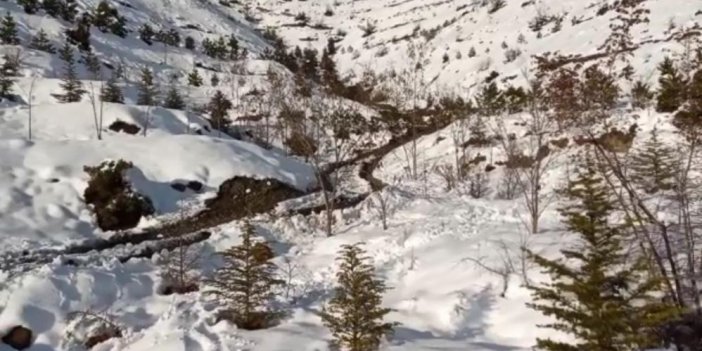 Artvin'de Önce Kayıp Başvusu Yaptı 3 Yıl sonra eşini boğarak öldürdüğü İtiraf etti