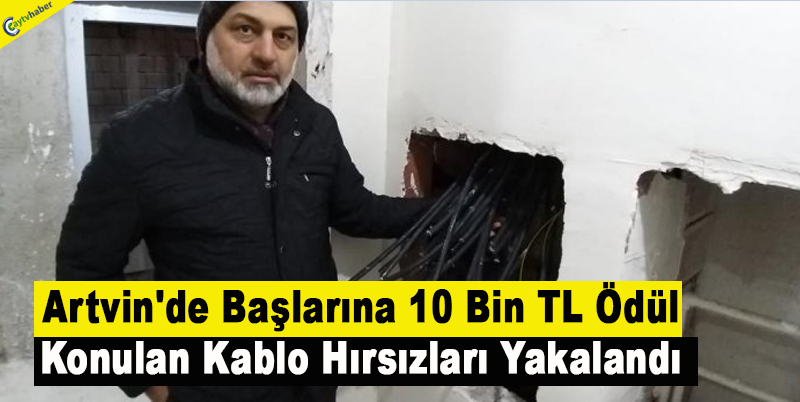 Artvin'de Başlarına 10 Bin TL Ödül Konulan Kablo Hırsızları Yakalandı