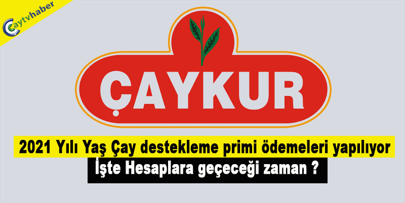 2021 Yılı Yaş Çay destekleme primi ödemeleri yapılıyor , İşte Hesaplara geçeceği zaman ?