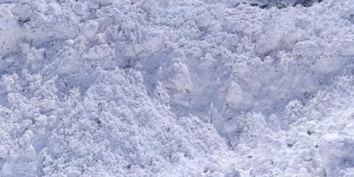 Artvin’de çığ köy yolunu ulaşıma kapattı