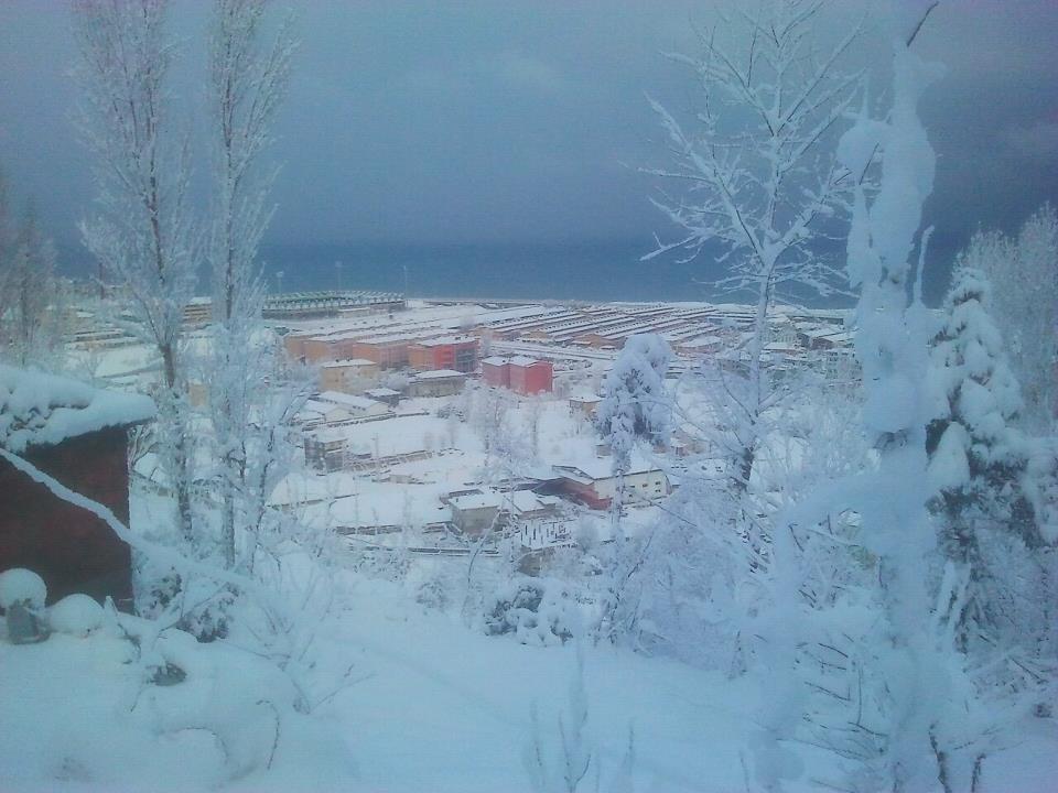 Kar Yağışı Rize'yi Beyaza Bürüdü
