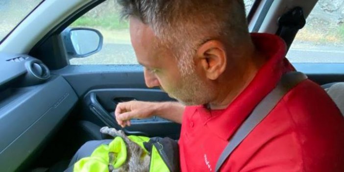Doğa fotoğrafçısı yeni doğan dağ keçisini hayatta tutmak için her yolu denedi