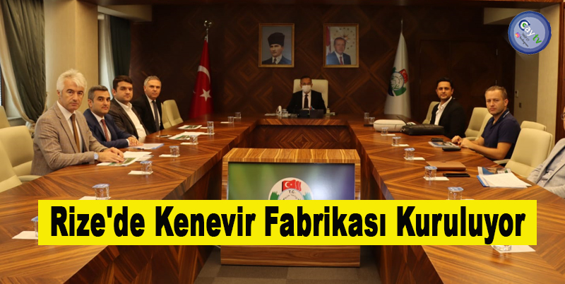 Rize'de Kenevir Fabrikası Kuruluyor