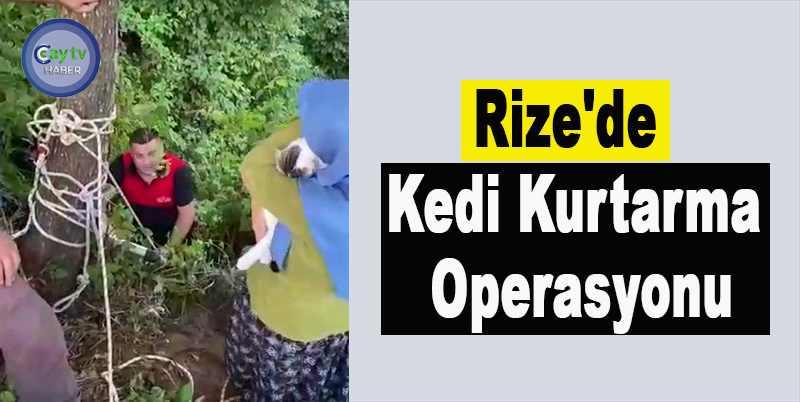 Rize'de kedi kurtarma operasyonu