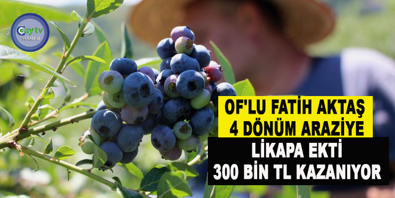 OF'LU FATİH AKTAŞ 4 DÖNÜM ARAZİYE LİKAPA EKTİ 300 BİN TL KAZANIYOR