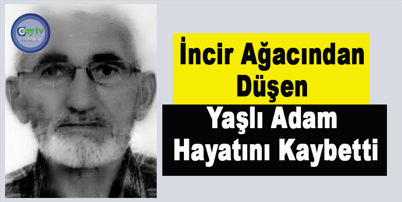 İncir Ağacından Düşen Yaşlı Adam Hayatını Kaybetti