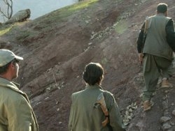 Teslim olan PKK'lılar serbest bırakıldı
