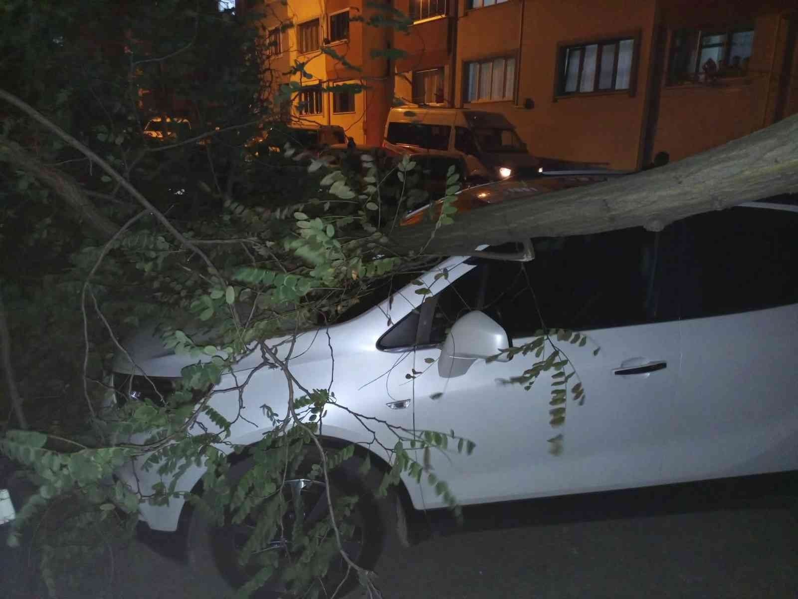 TRABZON’DA AKŞAM SAATLERİNDE BAŞLAYAN ŞİDDETLİ RÜZGAR NEDENİYLE YENİCUMA VE ÇÖMLEKÇİ MAHALLELERİNDE AĞAÇLAR DEVRİLDİ