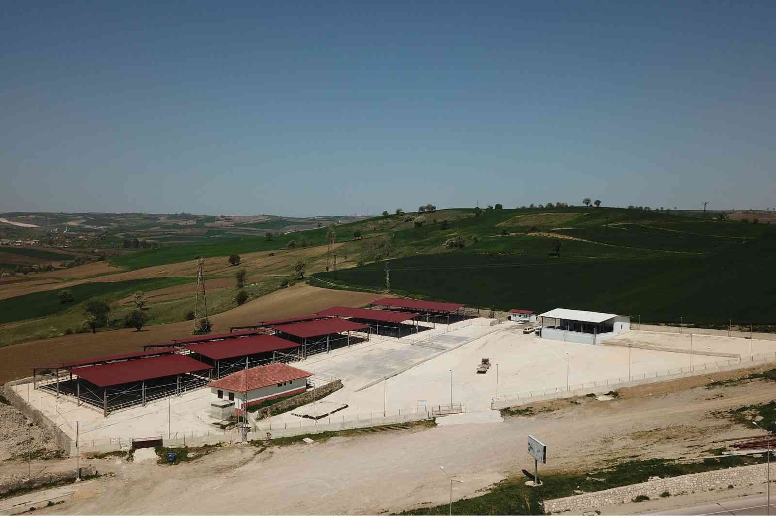 SAMSUN'UN HAVZA İLÇESİNDE CANLI HAYVAN PAZARI ÇEVRE İL VE İLÇELERDE GÖRÜLEN ŞAP HASTALIĞI NEDENİYLE SÜRESİZ OLARAK KAPATILDI