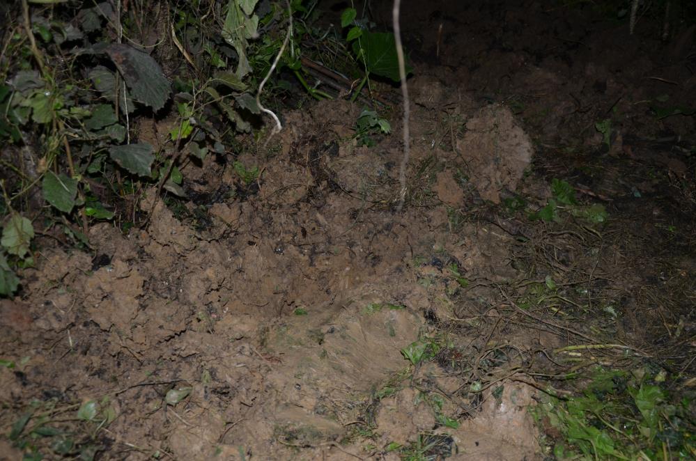 ORDU'DA YENİ DOĞMUŞ BEBEK CESEDİ, TOPRAĞA GÖMÜLÜ VAZİYETTE BULUNDU. POLİS, OLAYLA İLGİLİ 2 KİŞİYİ GÖZALTINA ALDI