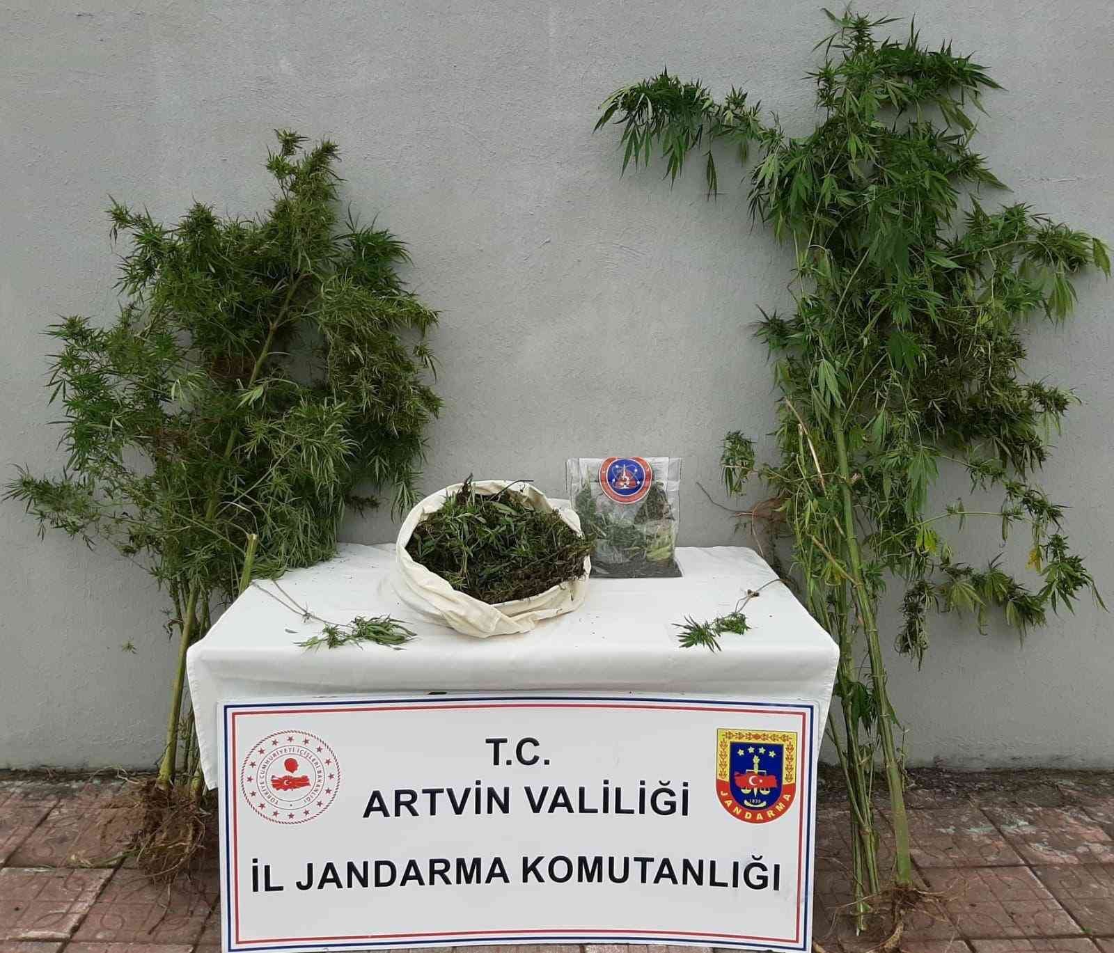 ARTVİN'DE 4 KİLO 375 GRAM KUBAR ESRAR İLE 18 KÖK HİNT KENEVİRİNİN ELE GEÇİRİLDİĞİ OPERASYONDA 2 ŞÜPHELİ YAKALANDI