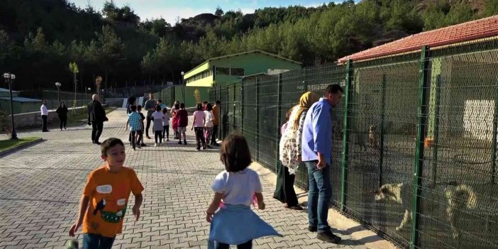 AMASYA BELEDİYESİ, AĞAÇLARLA ÇEVRİLİ 12 BİN METREKARELİK ALANDA HAYVAN OTELİ İNŞA ETTİ