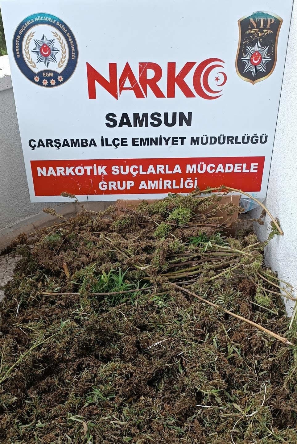 SAMSUN'DA NARKOTİK POLİSİ TARAFINDAN SOKAK SATICILARINA YÖNELİK DÜZENLENEN OPERASYONDA 9 KİLO 975 GRAM KUBAR ESRAR ELE GEÇİRİLDİ, 8 KİŞİ GÖZALTINA ALINDI