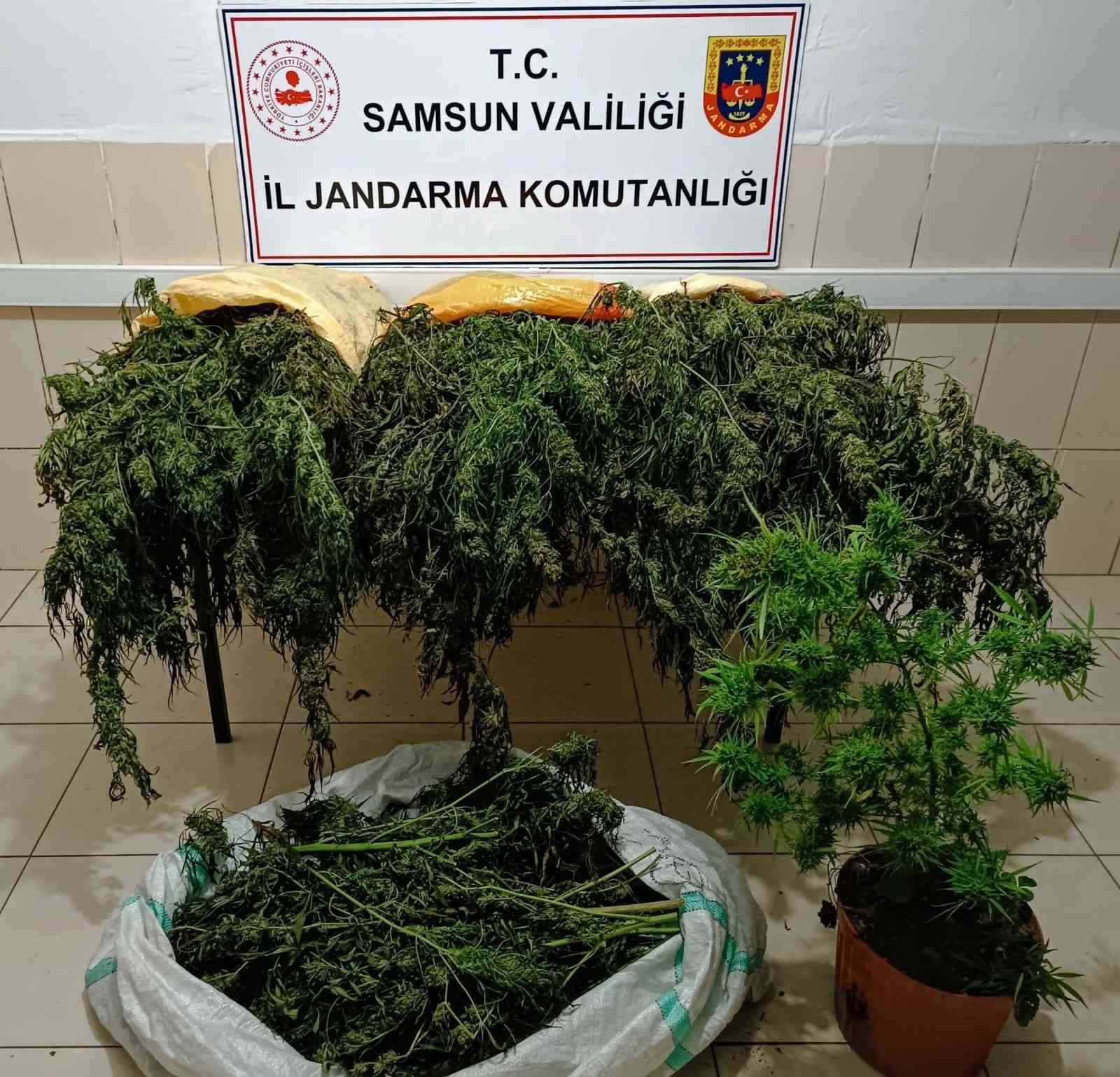SAMSUN YAPILAN UYUŞTURUCU VE KAÇAKÇILIK OPERASYONLARINDA 30 BİN 687 GRAM KUBAR ESRAR, 245 KÖK KENEVİR BİTKİSİ VE 308 ADET SENTETİK UYUŞTURUCU ECZA HAP ELE GEÇİRİLDİ, 65 ŞÜPHELİ GÖZALTINA ALINDI