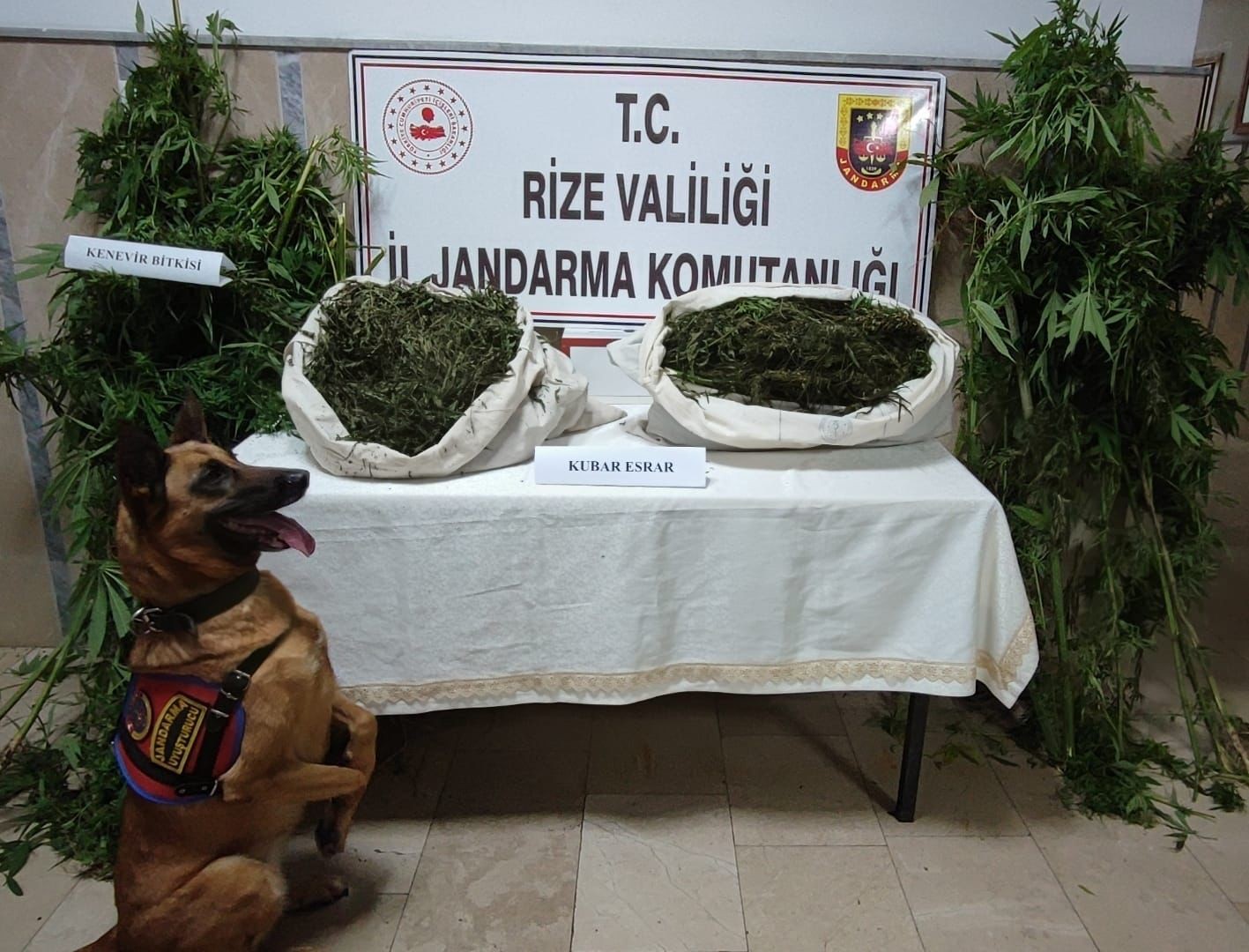RİZE'NİN ÇAYELİ İLÇESİNDE DÜZENLENEN UYUŞTURUCU OPERASYONUNDA 3 KİŞİ GÖZALTINA ALINDI