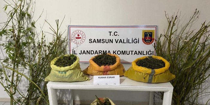 SAMSUN'DA JANDARMA EKİPLERİ TARAFINDAN BİR EVE VE EKLENTİSİNE YAPILAN OPERASYONDA, 25 KİLO 750 GRAM KUBAR ESRAR ELE GEÇİRİLİRKEN, OLAYLA İLGİLİ 2 KİŞİ GÖZALTINA ALINDI