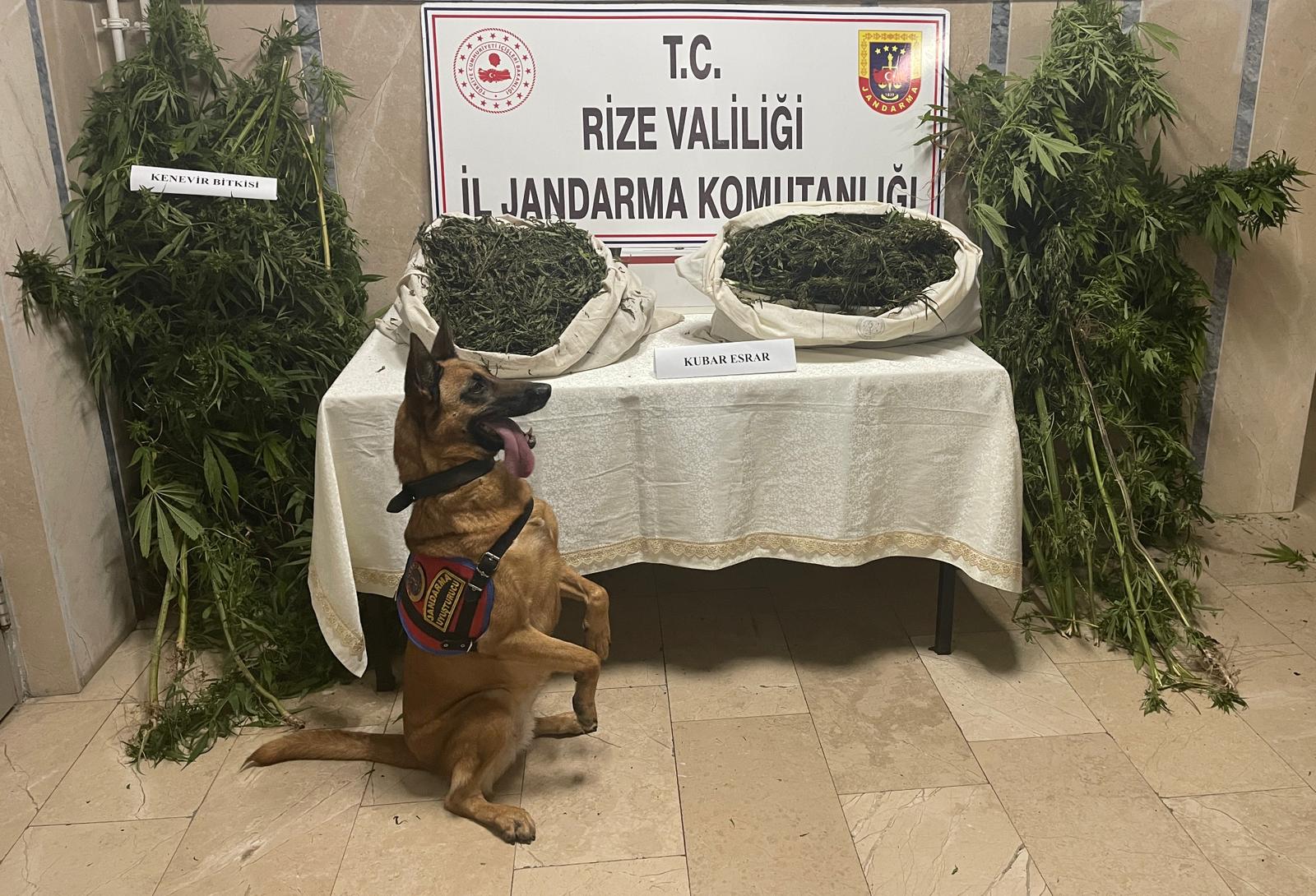 RİZE İL JANDARMA KOMUTANLIĞI TARAFINDA EKİM AYI İÇERSİNDE 76 ŞÜPHELİ YAKALANDI. DİĞER SUÇLARDAN DOLAYI 230 ŞÜPHELİ KİŞİ HAKKINDA İŞLEM YAPILDI