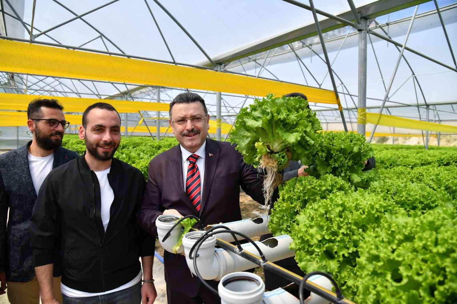FINDIK BAHÇELERİNİN YENİLENMESİ, ÜRETİCİLERE FİDAN DAĞITIMI, YENİ OLUŞTURULAN ÇAY BAHÇELERİNİN YOLLARININ İYİLEŞTİRİLMESİ VE TARIM ÜRETİCİLERİNİN BİLİNÇLENDİRİLMESİNE YÖNELİK OLARAK ORTAHİSAR BELEDİYESİ BİRÇOK ALANDA PROJELE