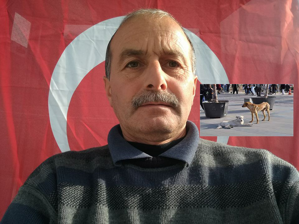 ORDU'DA YOL KENARINDAKİ ÇÖPLERİ TOPLAYAN TEMİZLİK İŞÇİSİ METİN TİRKİL , KÖPEK SALDIRISINDAN KAÇARKEN ARACIN ÇARPMASI SONUCU HAYATINI KAYBETTİ