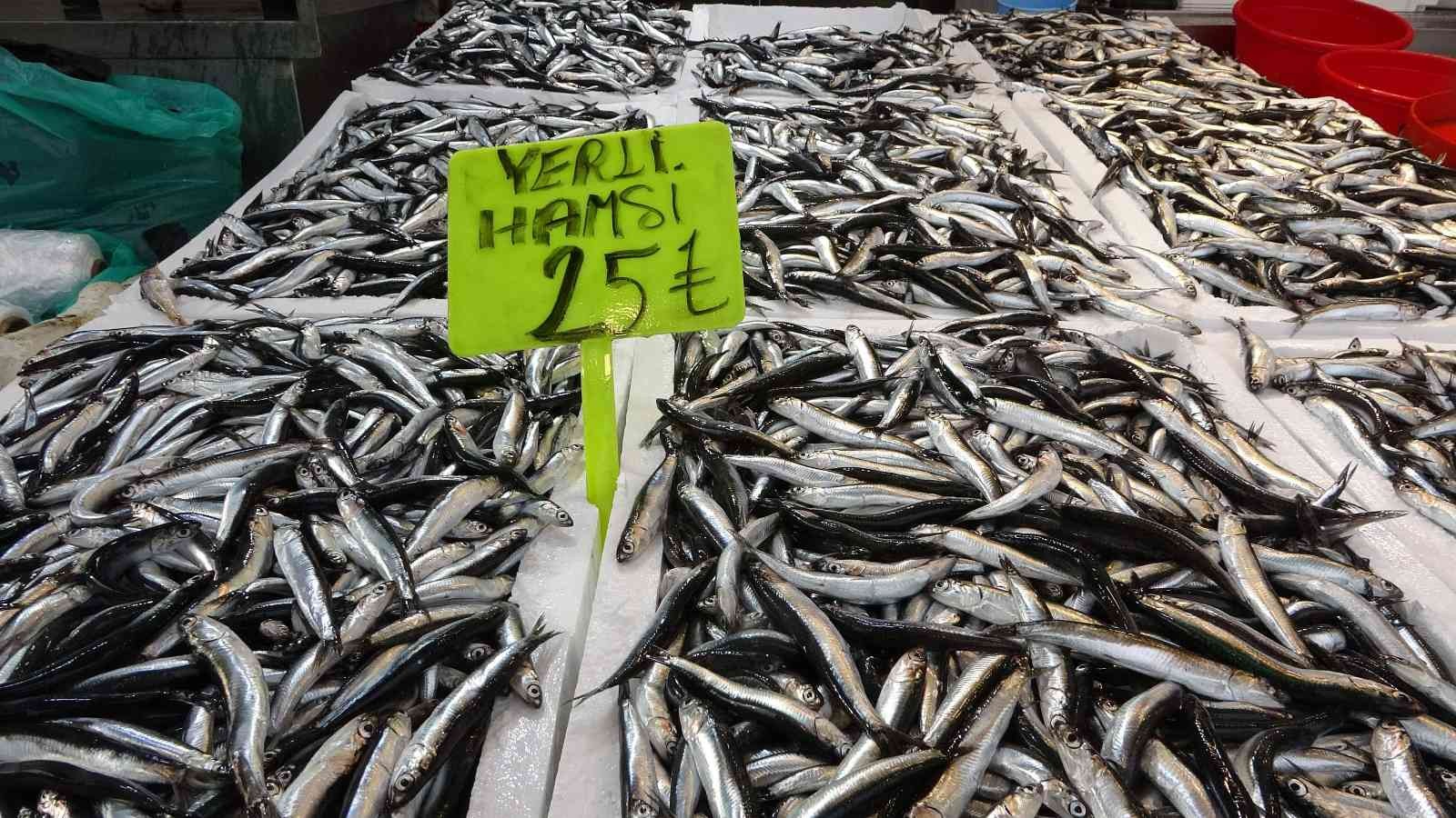 TRABZON BALIK HALİ'NDE BİR HAFTA ÖNCE KİLOSU 35-50 TL ARASINDA SATILAN HAMSİ BUGÜN İTİBARİYLE 25-40 TL ARASINDA SATIŞA SUNULURKEN, BU SEZON İLK KEZ FİYATI BU KADAR GERİLEDİ
