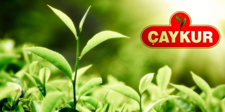 ÇAYKUR EKİM AYI YAŞ ÇAY PARASI VE AĞUSTOS AYINA AİT ORGANİK ÇAY FARKI ÖDEMELERİNİ HESAPLARA AKTARDI. ÜRETİCİLER 1 ARALIK PERŞEMBE GÜNÜNDEN İTİBAREN HESAPLARINDAN PARAYI ÇEKEBİLECEK
