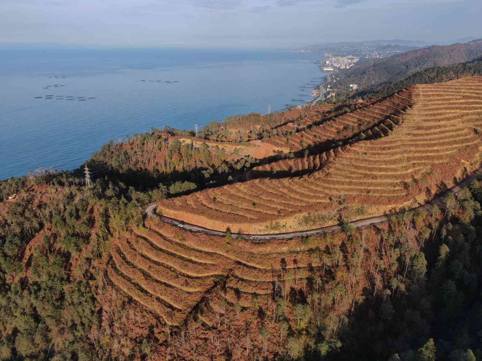 UZMANLAR, KARADENİZ BÖLGESİ'NDEKİ ÖRTÜ VE ORMAN YANGINLARININ EN FAZLA NEMİN AZ OLDUĞU OCAK, ŞUBAT VE MART AYLARINDA ÇIKTIĞINI BELİRTEREK YANGIN SEZONU ÖNCESİ UYARIDA BULUNDULAR