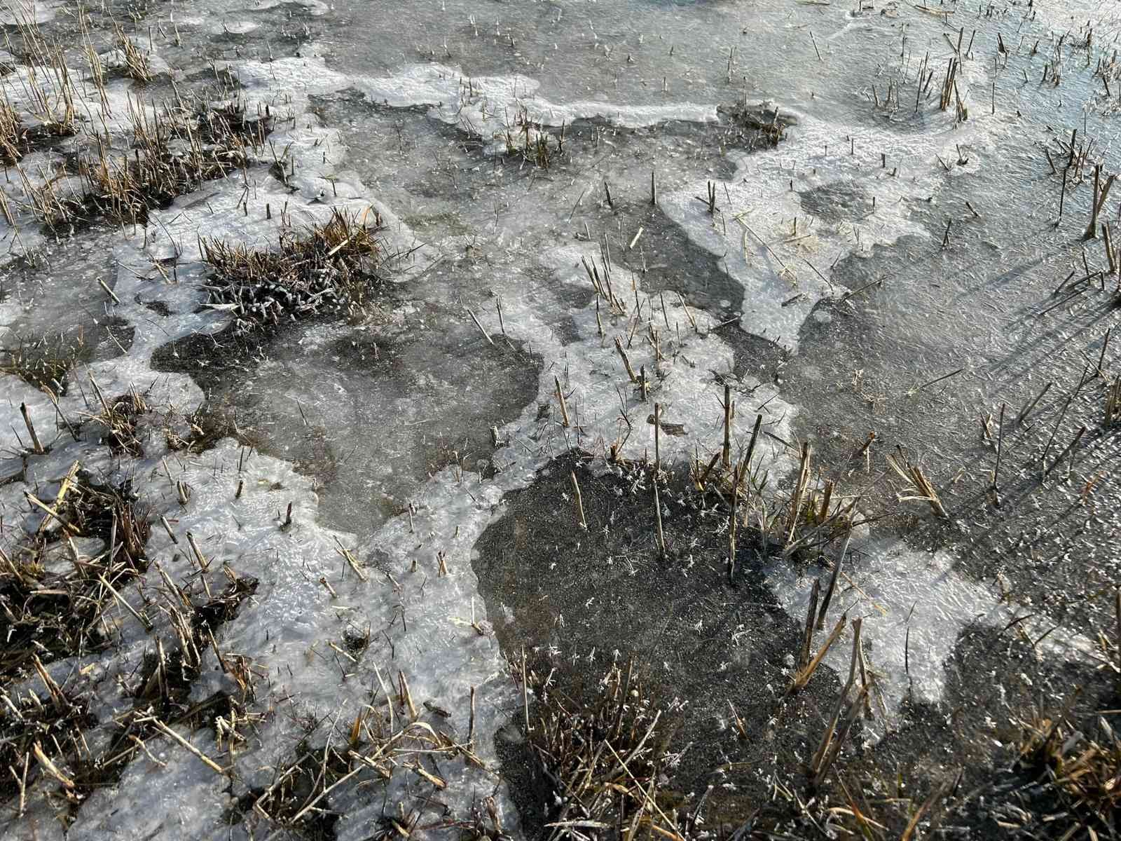 HAVA SICAKLIĞININ EKSİ 5 DERECEYE DÜŞTÜĞÜ ERZURUM ADETA BUZ TUTTU. VATANDAŞLAR, SABAH ARAÇLARININ BUZ TUTAN CAMLARINI TEMİZLEDİ