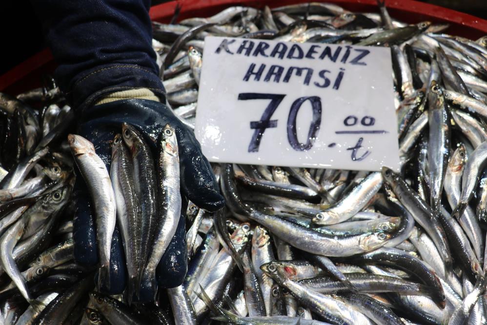 KARADENİZ’DE YAŞANAN HAMSİ BOLLUĞUNDAN DOLAYI RİZE'DE KİLOGRAMI 10 LİRADAN SATILAN HAMSİ SİVAS'TA 70 LİRAYA ALICI BULUYOR
