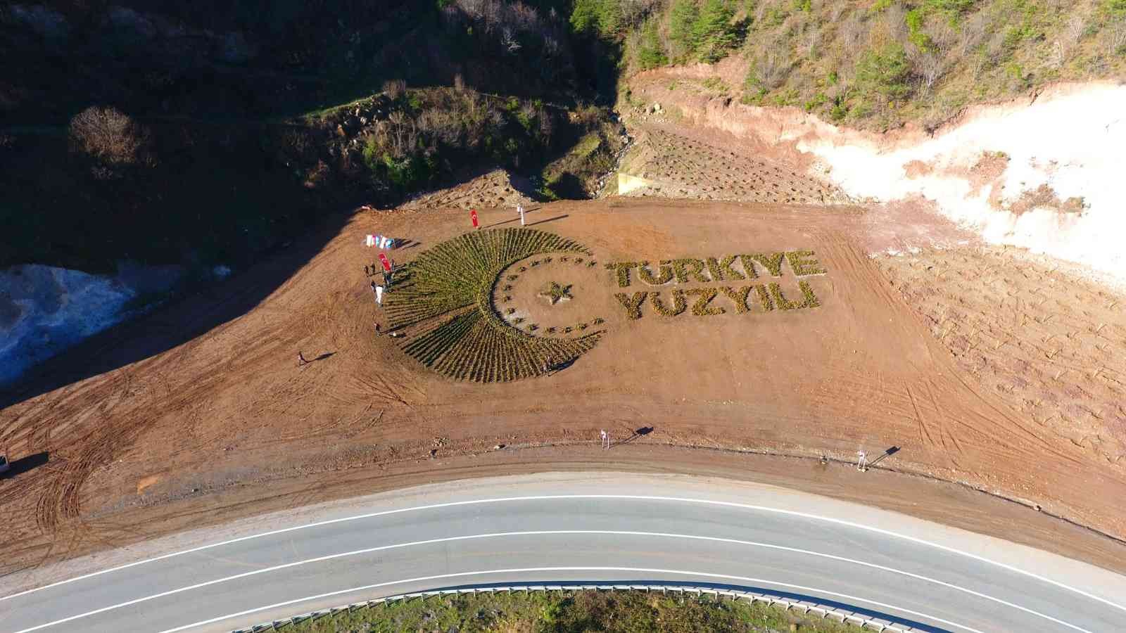 ARTVİN ORMAN BÖLGE MÜDÜRLÜĞÜ TARAFINDAN ARTVİN-BORÇKA KARAYOLUNUN 15. KİLOMETRESİNDE YOL KENARINA 36 BİN FİDANLA DİKİLEREK "TÜRKİYE YÜZYILI" LOGOSU İŞLENDİ
