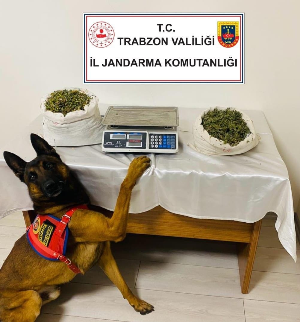 TRABZON'UN OF İLÇESİNDE JANDARMA EKİPLERİNCE YAPILAN OPERASYONDA UYUŞTURUCU TİCARETİ YAPTIĞI BELİRLENEN BİR KİŞİ TUTUKLANARAK CEZAEVİNE GÖNDERİLDİ