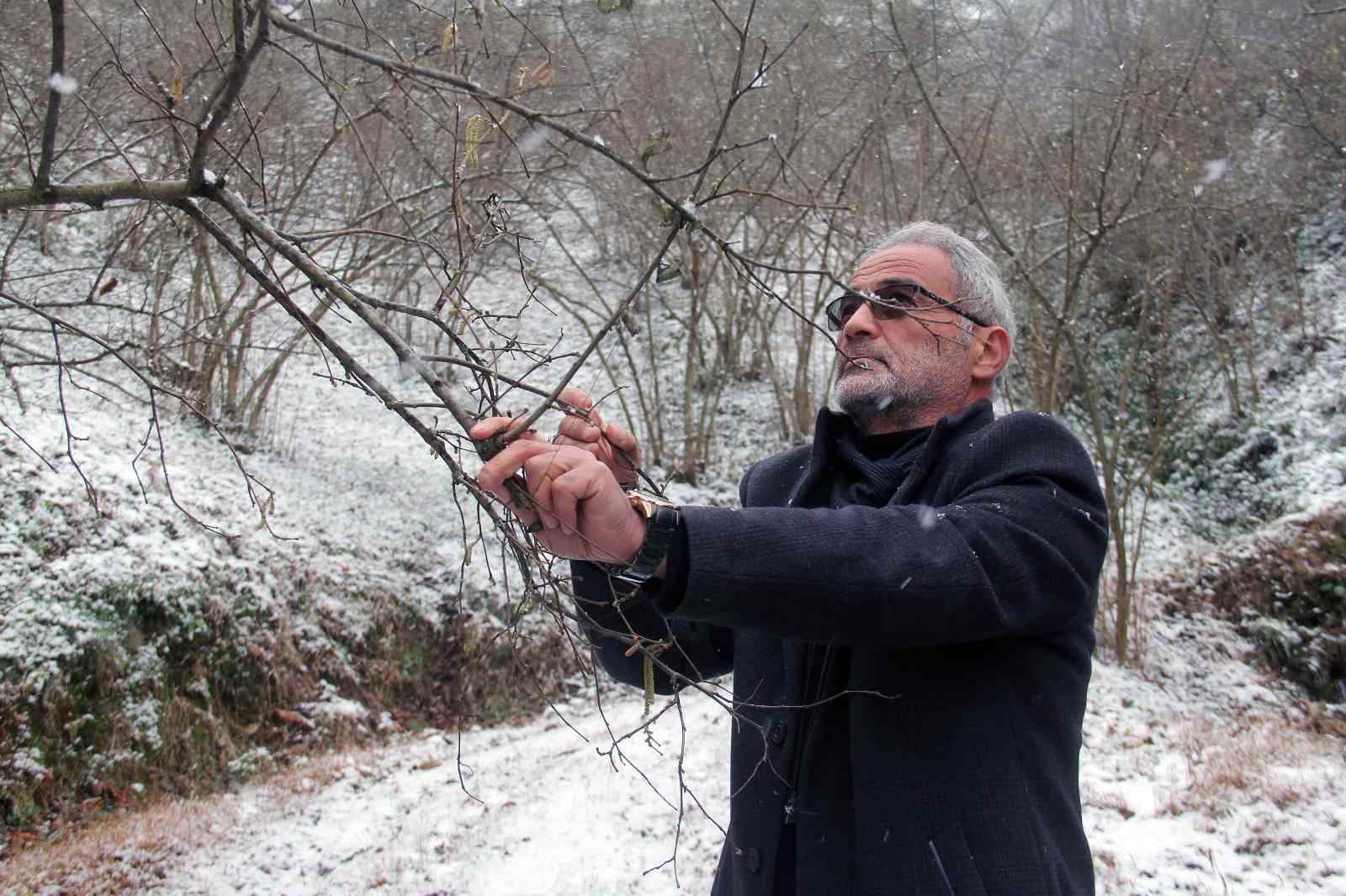 YAĞAN KAR FINDIK ÜRETİCİLERİNİ SEVİNDİRDİ. GİRESUN ZİRAAT ODALARI İL KOORDİNASYON KURULU BAŞKANI ABDULLAH ŞAHİN, MEVSİMİNDE YAĞAN KARIN FINDIK İÇİN OLDUKÇA YARARLI OLDUĞUNU SÖYLEDİ