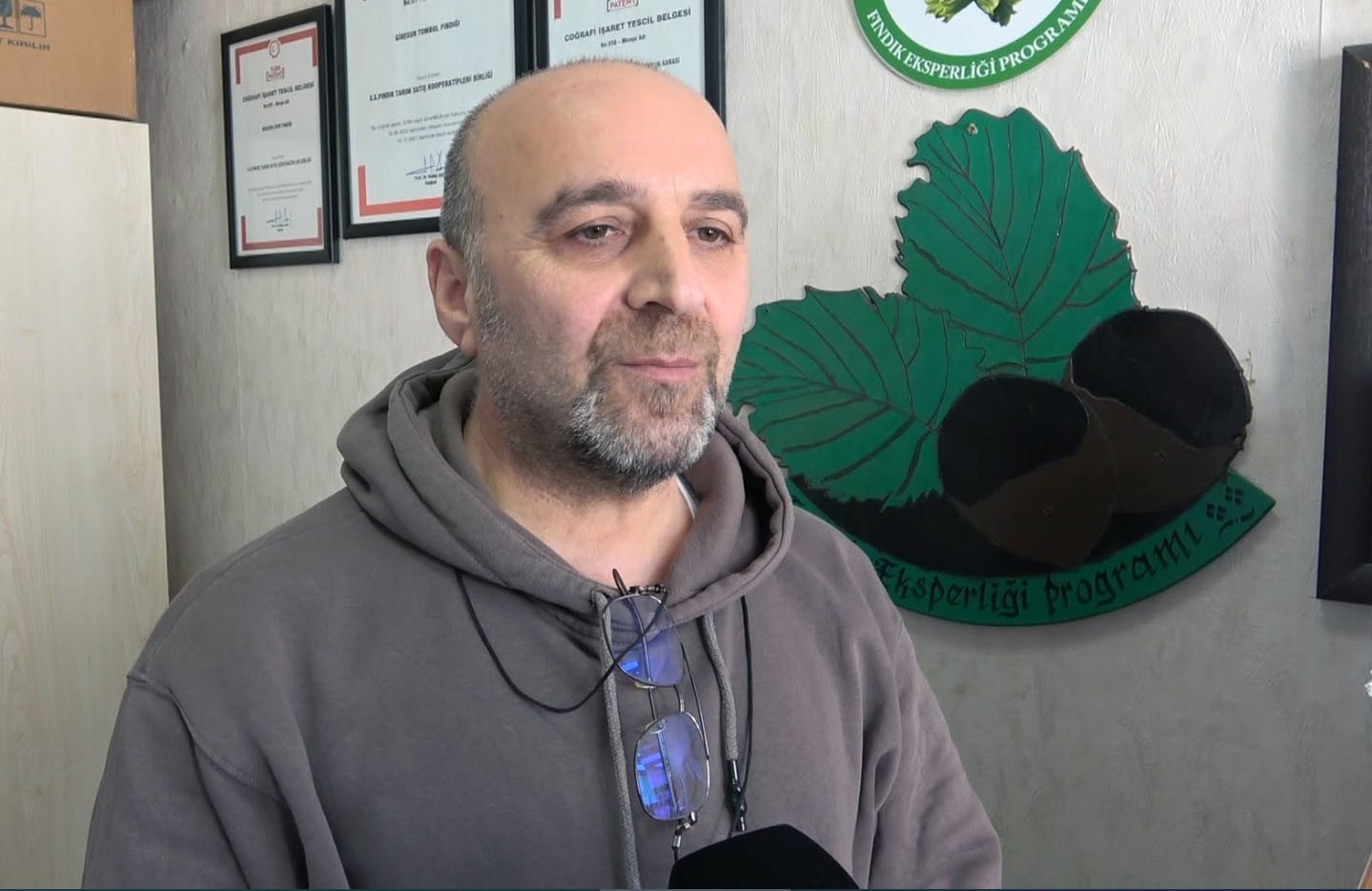 GİRESUN ÜNİVERSİTESİ’İNDEN DOÇ. DR. ALİ TURAN, FINDIKTA KÜLTÜREL UYGULAMALARIN, ZARARLILARLA MÜCADELENİN BİLİNÇSİZLİĞİ VE FINDIK BAHÇELERİNİN YAŞLI OLMASININ VERİM VE KALİTEYİ DÜŞÜRDÜĞÜNÜ BELİRTTİ