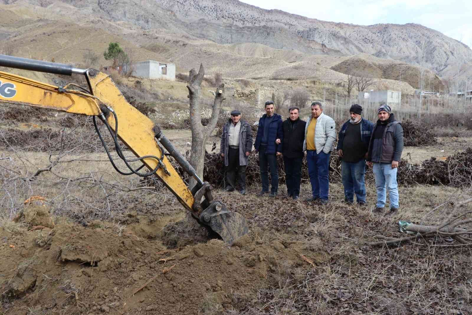 ARTVİN'DE ÇORUH NEHRİ ÜZERİNDE SU TUTMAYA BAŞLAYAN YUSUFELİ BARAJI'NIN İLÇE MERKEZİ VE KÖYLERİ SULAR ALTINDA BIRAKACAK OLMASI NEDENİYLE BAHÇELERDEKİ MEYVE AĞAÇLARINI İŞ MAKİNELERİ İLE SÖKÜLEREK OLTU'DA BAHÇELE