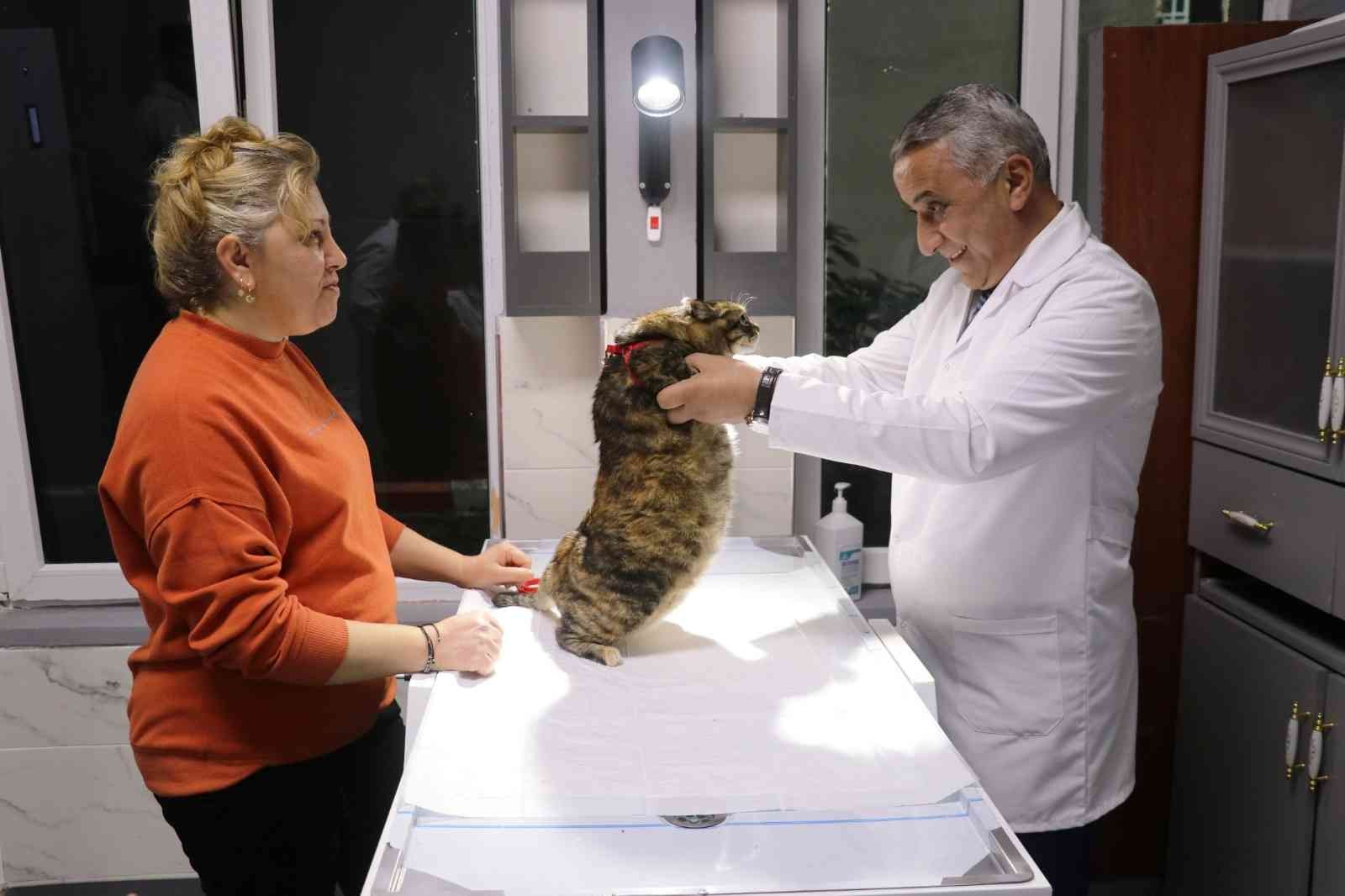 "KEDİ, KÖPEK VE GELİNCİKLERİN KİMLİKLENDİRİLMESİ VE KAYIT ALTINA ALINMASINA DAİR YÖNETMELİK" ÇERÇEVESİNDE SAMSUN'DA 2022 YILINDA TOPLAM 29 BİN 891 EVCİL HAYVAN KAYIT ALTINA ALINDI