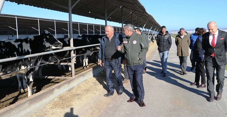 SAMSUN İL TARIM VE ORMAN MÜDÜRÜ İBRAHİM SAĞLAM, 2022 YILINDA SAMSUN'DA HAYVANCILIK ALANINDA ÜRETİCİLERE 1 MİLYAR 550 MİLYON LİRALIK DESTEK VERDİKLERİNİ SÖYLEDİ