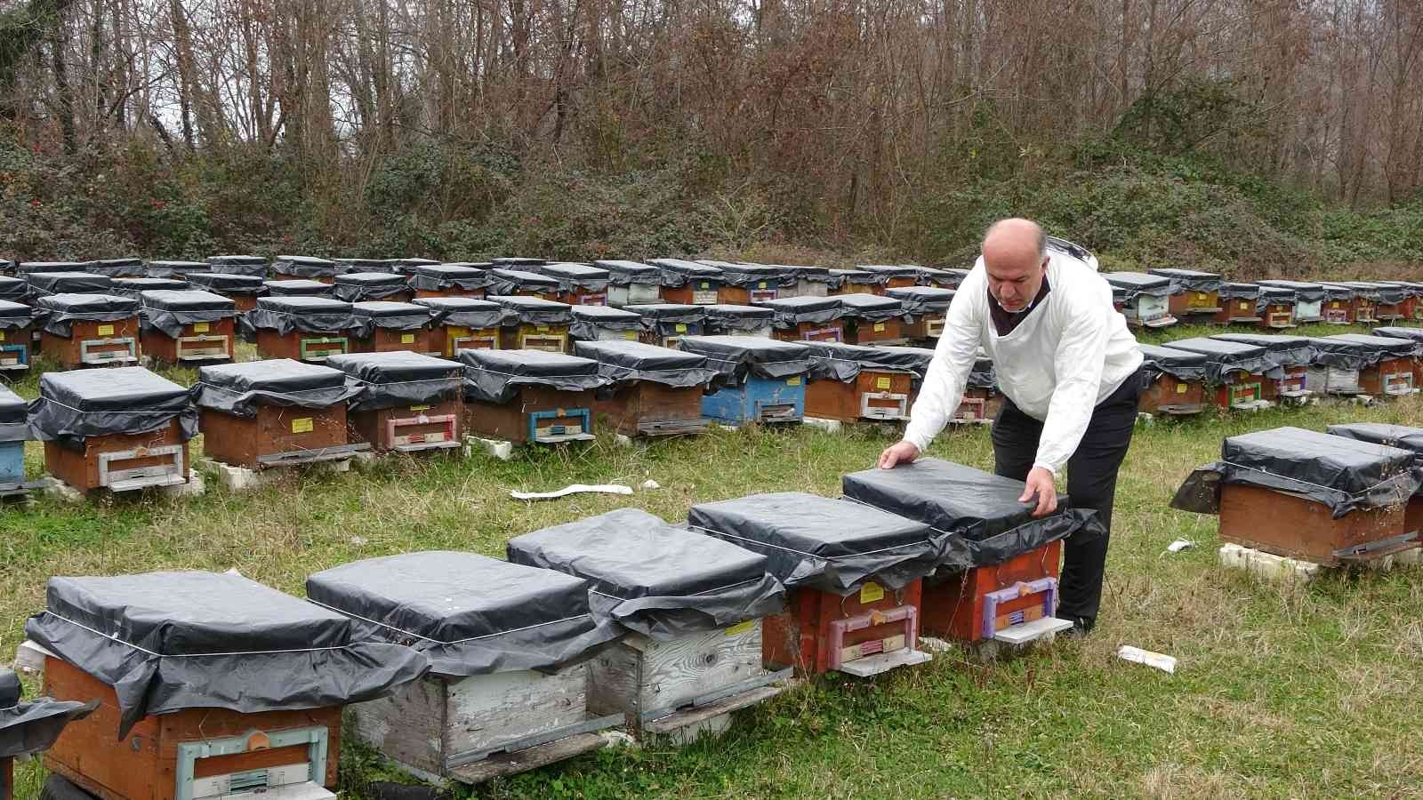 ORDU'DA BU YIL KIŞ KURAK GEÇİNCE BAL ARILARI KIŞ UYKUSUNA YATAMADI. UYUMASI GEREKEN ARILAR UÇMAYA BAŞLAYINCA, KIŞLIK YİYECEKLERİ OLAN BALLARI DA ERKEN TÜKETTİ