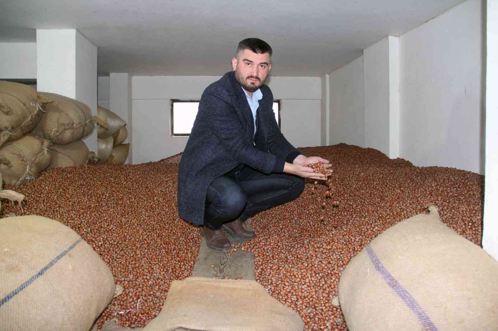 GİRESUN'DA SERBEST PİYASADA HAFTAYA 63 LİRADAN BAŞLAYAN FINDIK, FİYAT İSTİKRARINI SÜRDÜRÜYOR