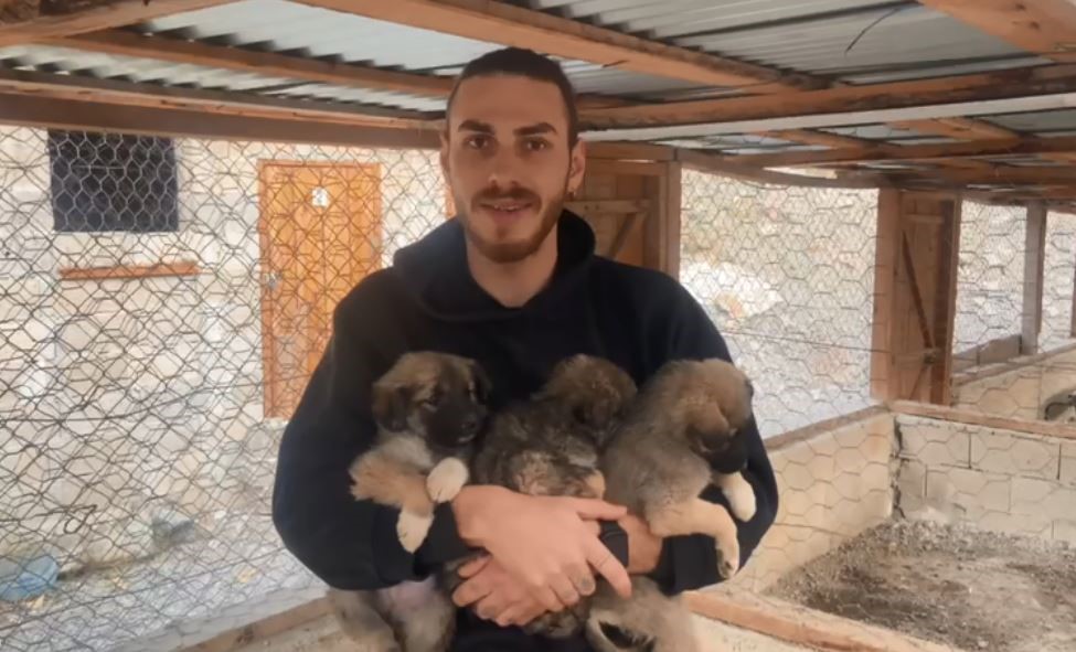 ARTVİN'DE BARAJ SULARI ALTINDA KALACAK OLAN YUSUFELİ İLÇESİNDE YIKILAN BETON BLOKLARDA MAHSUR KALAN YAVRU KÖPEKLER, İŞ MAKİNESİ YARDIMIYLA KURTARILDI