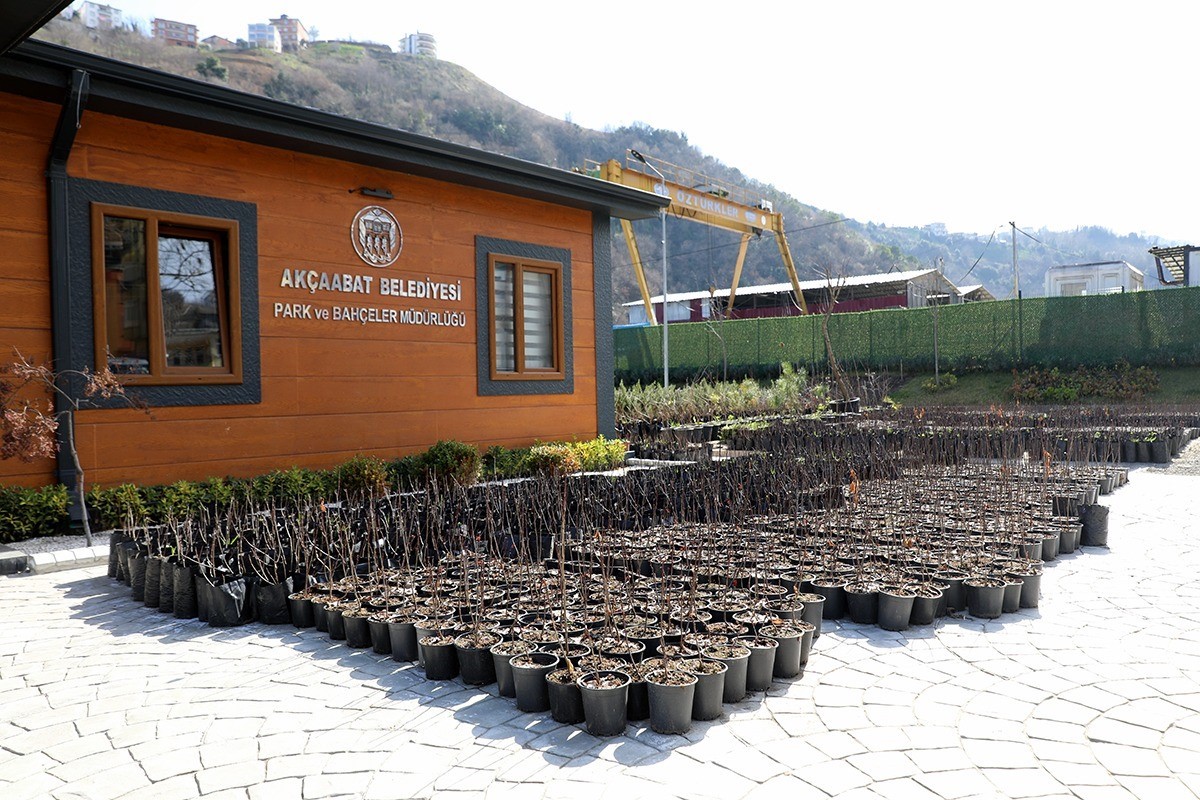 TRABZON'UN AKÇAABAT İLÇE BELEDİYESİ, İLÇE TARIM MÜDÜRLÜĞÜ VE AKÇAABAT ZİRAAT ODASI İLE İŞBİRLİĞİ HALİNDE YAPILAN "ARONYA ÇİFTÇİ DESTEKLEME PROJESİ " KAPSAMINDA ARONYA YETİŞTİRİCİLİĞİ BAŞVURU SONUÇLARI BELLİ OL