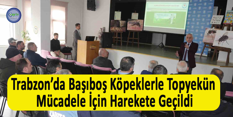 TRABZON BÜYÜKŞEHİR BELEDİYESİ TARAFINDAN BAŞIBOŞ KÖPEK SORUNU İLE MÜCADELE İÇİN İLÇE BELEDİYELERİNE YÖNELİK EĞİTİM PROGRAMLARI GERÇEKLEŞTİRİLDİ