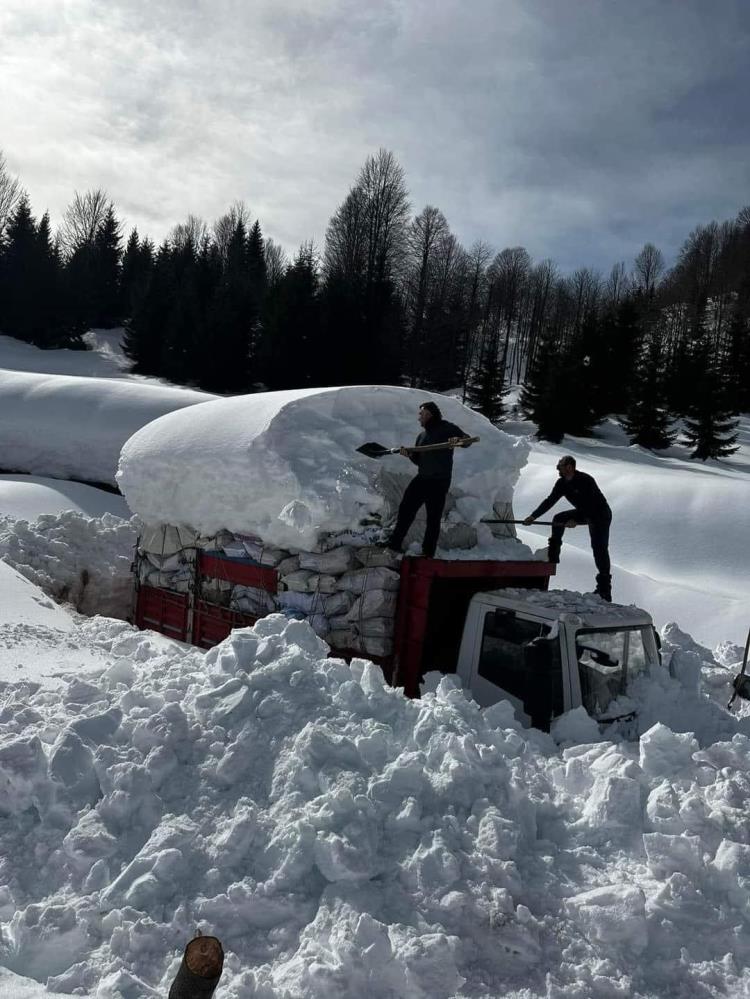 ARTVİN'İN BORÇKA İLÇESİ MACAHEL BÖLGESİNDE DEPREM BÖLGESİNE GÖTÜRÜLMEK ÜZERE HAZIRLANAN ODUN YÜKLÜ KAMYONLAR KAR NEDENİYLE YOLDA MAHSUR KALDI
