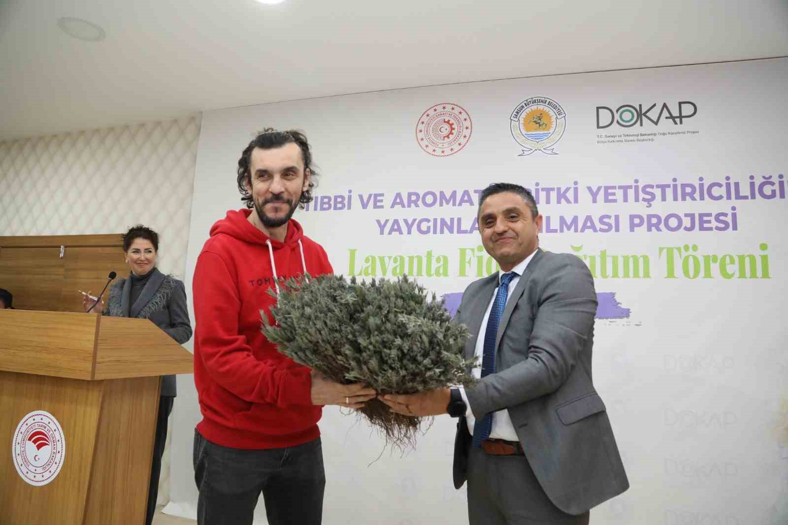 SAMSUN'UN KAVAK İLÇESİNDE 15 ÜRETİCİYE 225 BİN LAVANTA FİDESİ DAĞITILDI