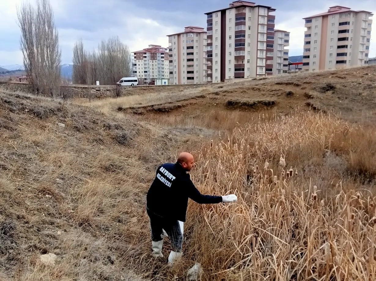 BAYBURT BELEDİYESİ SİVRİSİNEK VE HAŞERELERE KARŞI İLAÇLAMA ÇALIŞMASI GERÇEKLEŞTİRİYOR