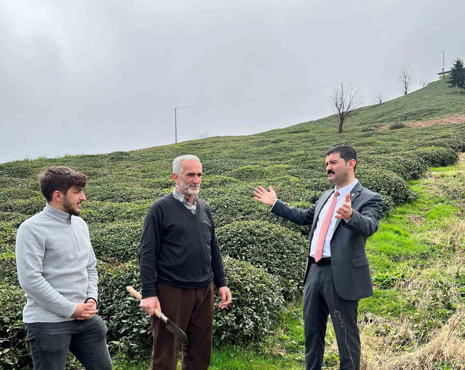 TRABZON'UN OF İLÇESİ ZİRAAT ODASI BAŞKANI BERKANT SARAL, YAŞ ÇAY DESTEKLEME PARASININ TAM ÖDENMESİ VE GÜBRE FİYATLARINDA İYİLEŞTİRME YAPILMASINI TALEP ETTİKLERİNİ SÖYLEDİ