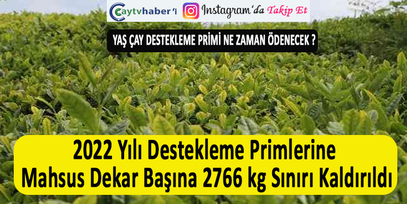 İL BAŞKANI AYAR : 2022 YILI DESTEKLEME PRİMLERİNE MAHSUS DEKAR BAŞINA 2766 KG SINIRI KALDIRILDI. BÖYLECE YAKLAŞIK 30 BİN KİŞİYE 26 MİLYONLUK EK BİR DESTEKLEME GELİRİ SAĞLANDI. ÜRETİCİLERİMİZE HAYIRLI OLMASINI DİLİYORUM” DEDİ