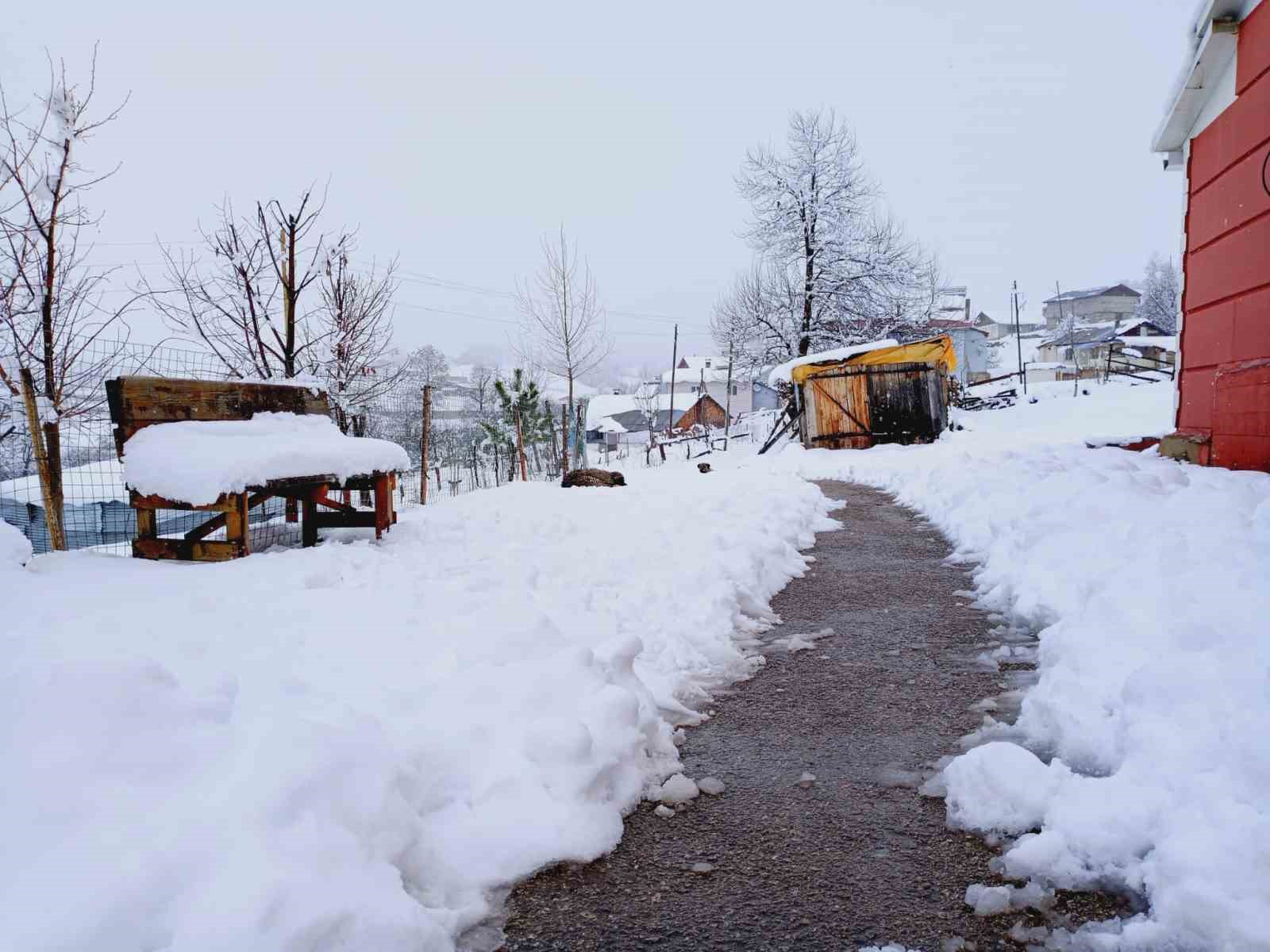 ARTVİN HAVA SICAKLIĞININ YENİDEN MEVSİM NORMALLERİNİN ALTINA DÜŞTÜ, YÜKSEK BÖLGELERDE KAR YAĞIŞI ETKİLİ OLDU