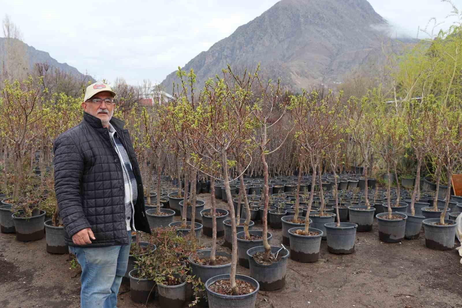 ERZURUM'UN UZUNDERE İLÇESİNDE 20 YILDIR FİDE ÜRETİCİLİĞİ YAPAN DOĞU ANADOLU'NUN EN BÜYÜK FİDAN YETİŞTİRİCİSİ KADİR YAŞAR NİSAN AYININ YAĞMURLU GEÇTİĞİNİ BELİRTEREK, "FİDAN DİKMENİN TAM ZAMANI" DEDİ