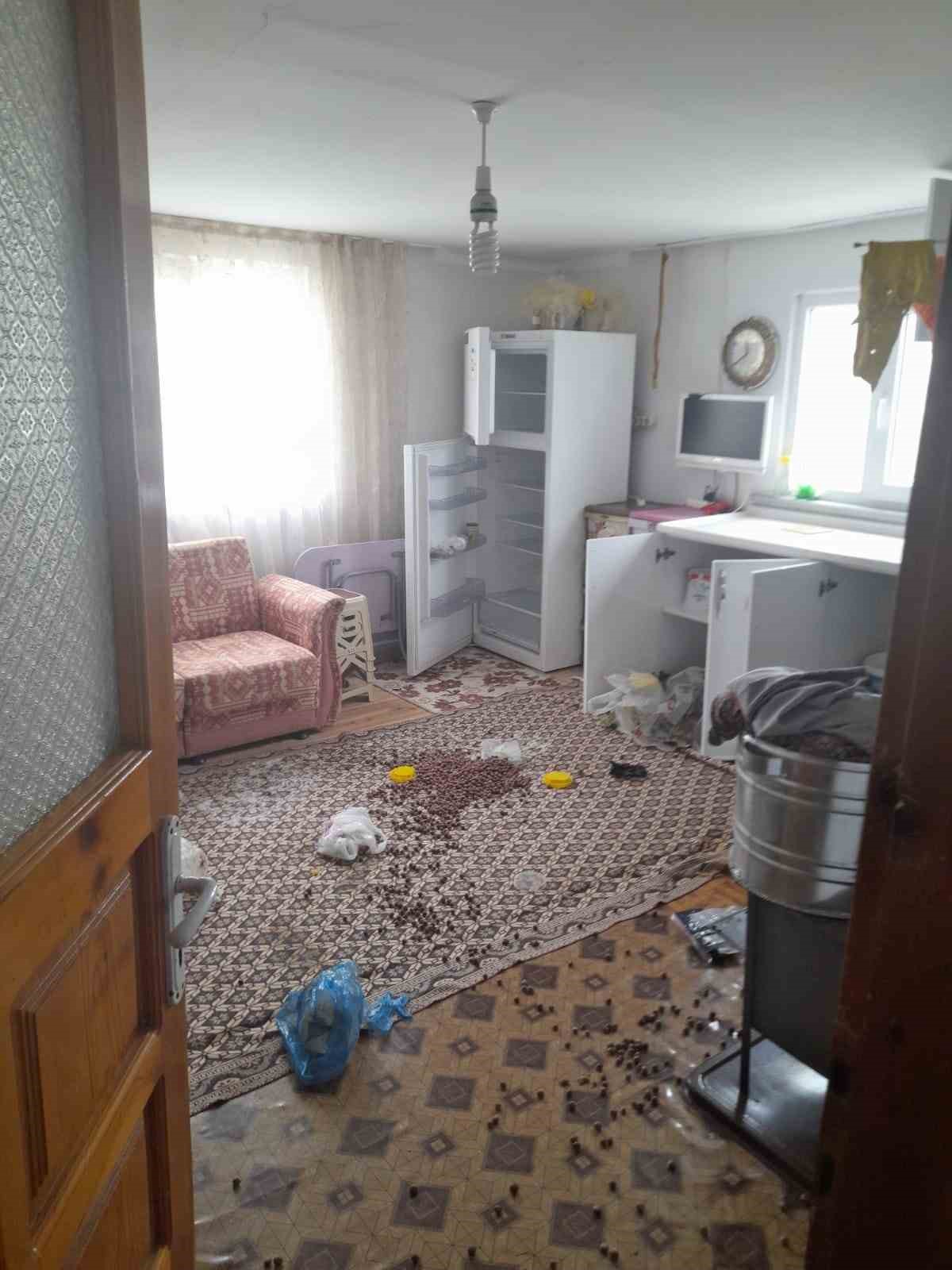 GÜMÜŞHANE’NİN KÜRTÜN İLÇESİNDE YİYECEK ARAYIŞINDAKİ AYILAR YAYLA EVLERİNE DADANDI
