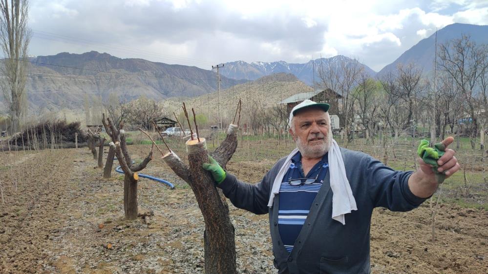 ERZURUM'UN UZUNDERE İLÇESİNDE YAŞAYAN MUSTAFA AYDOĞMUŞ TEK BAŞINA ÇALIŞARAK BİN 500 ADET FİDAN ÜRETİP SATIYOR